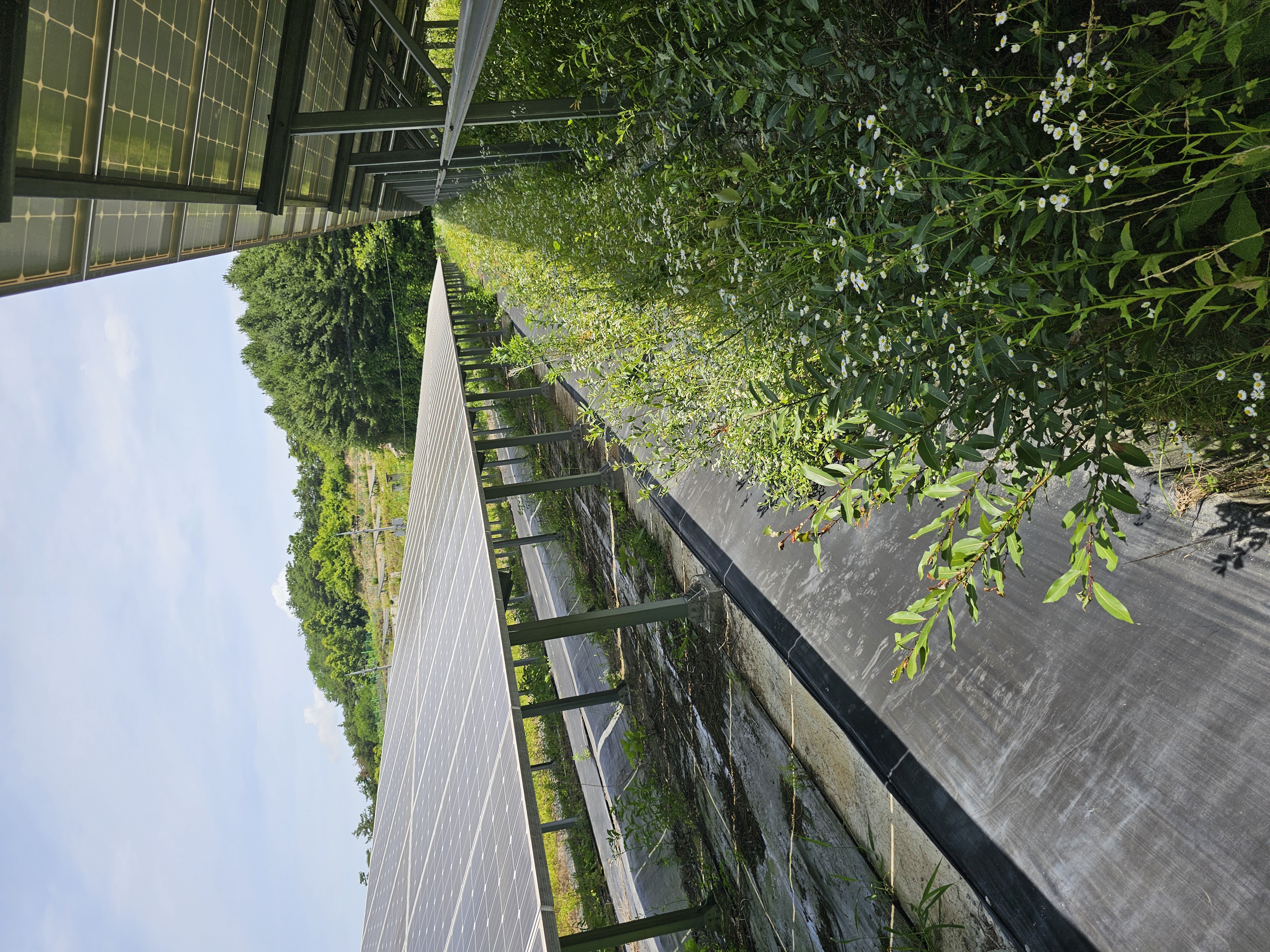 경북 영주 태양광 발전소 전경 이미지